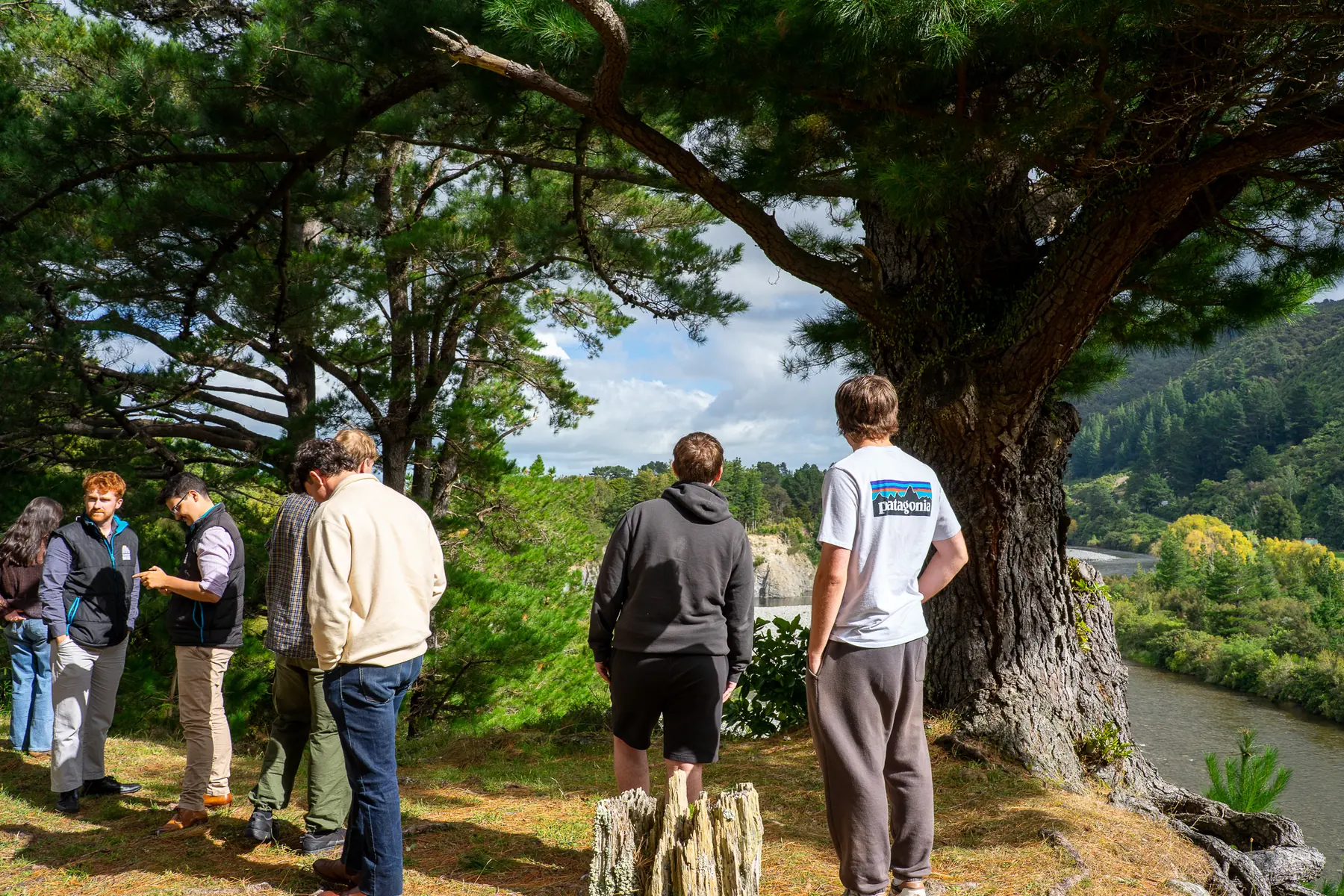 Small group gathered outdoors beneath tall trees