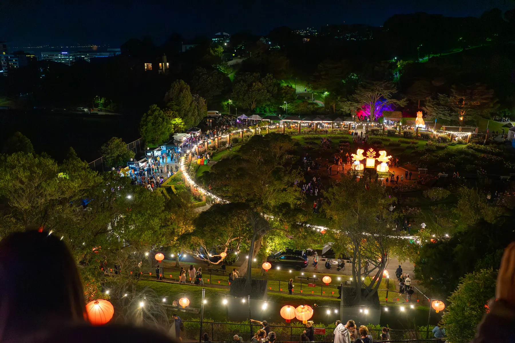 Night view over a lantern festival in Wellington